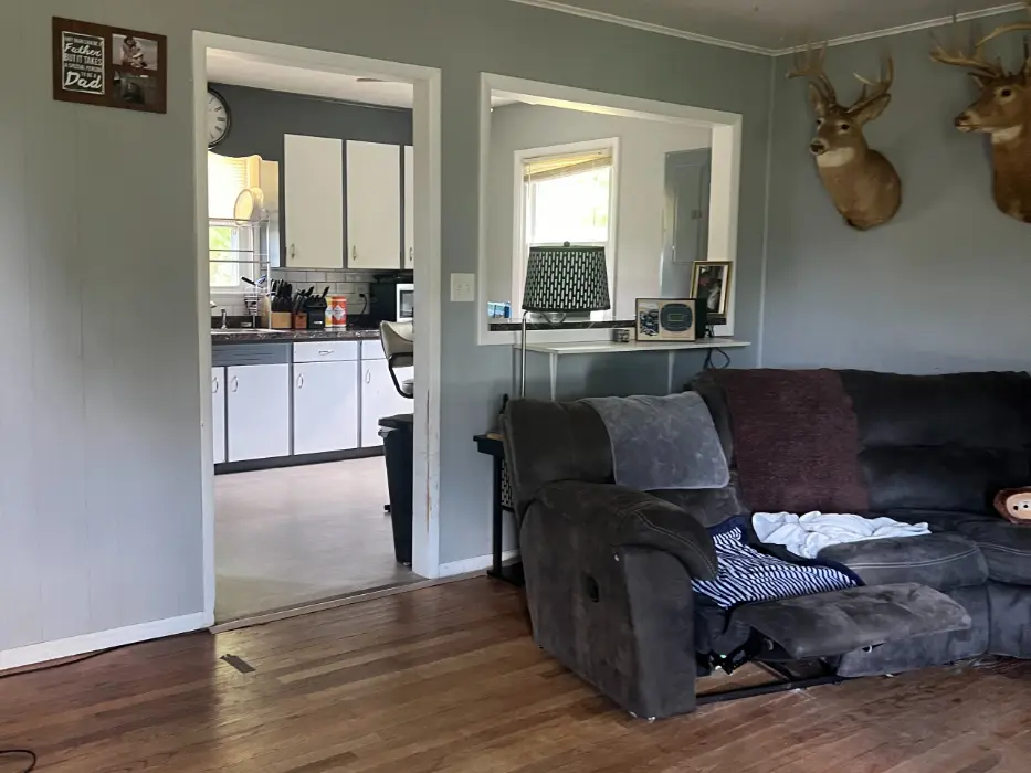 A cluttered living room before renovation, featuring a gray recliner sofa, wooden floors, mounted deer heads on the wall, and a view into an outdated kitchen with white cabinets and scattered items